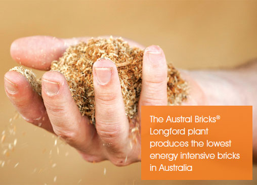 A photo of a hand holding a handful of sawdust
